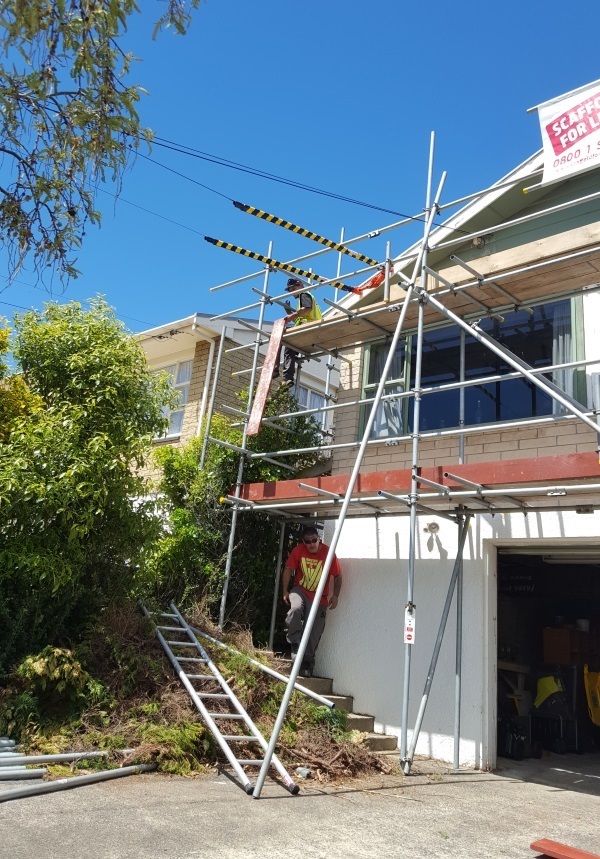 Power line wraps Dunedin Power line protection